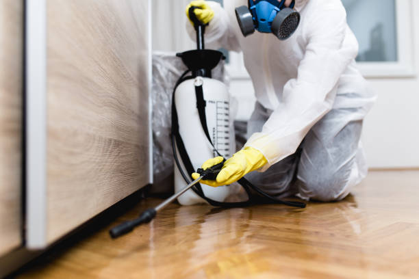 Best Commercial Pest Control Services  in Fifth Ward, LA