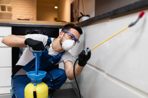 Best Wasp Removal Services  in Fifth Ward, LA