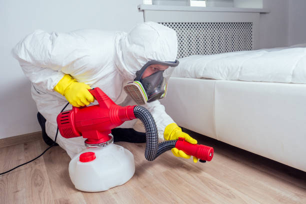 Best Mosquito Control Services  in Fifth Ward, LA