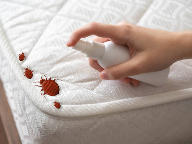 Best Exterminator Services  in Fifth Ward, LA