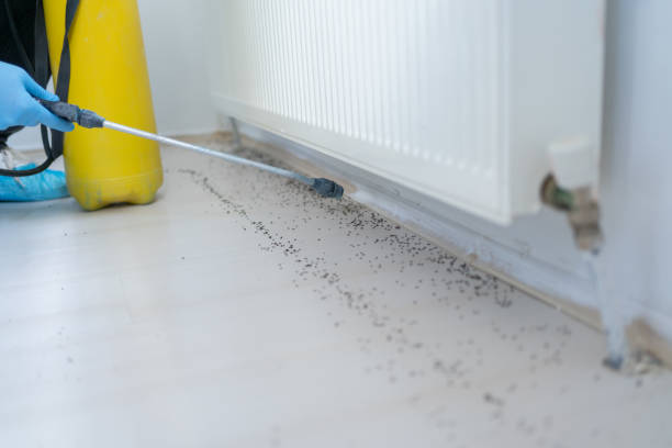 Best Best Pest Control Companies  in Fifth Ward, LA