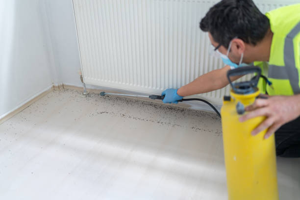 Best Pest Control Cost  in Fifth Ward, LA